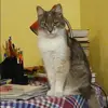 Отзыв от Ева Кулакова